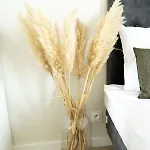 Na Wydmie Polwysep 公寓